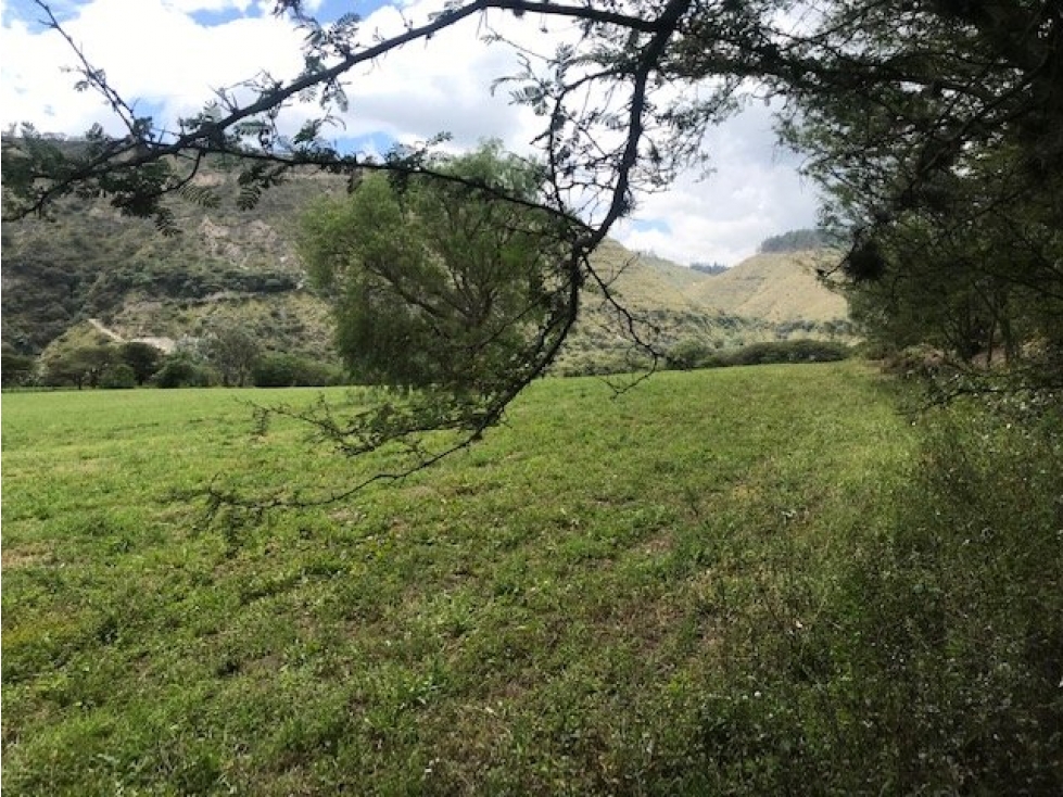 TERRENO DE VENTA EN YARUQUI DE 50 HECTAREAS UTILES — foto 2