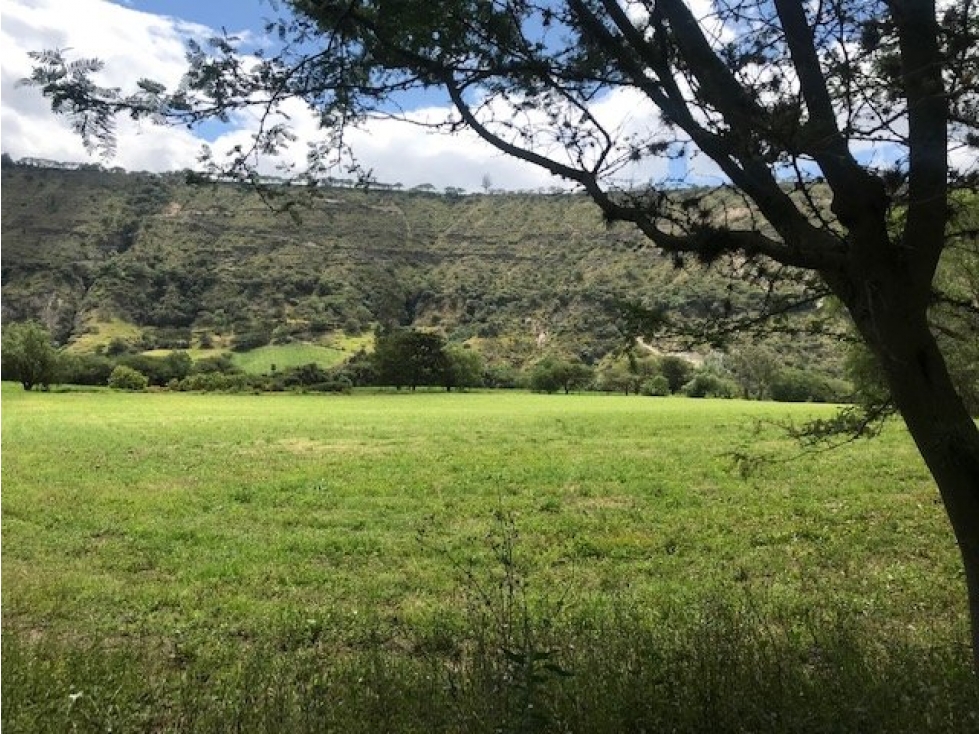 TERRENO DE VENTA EN YARUQUI DE 50 HECTAREAS UTILES — foto 4