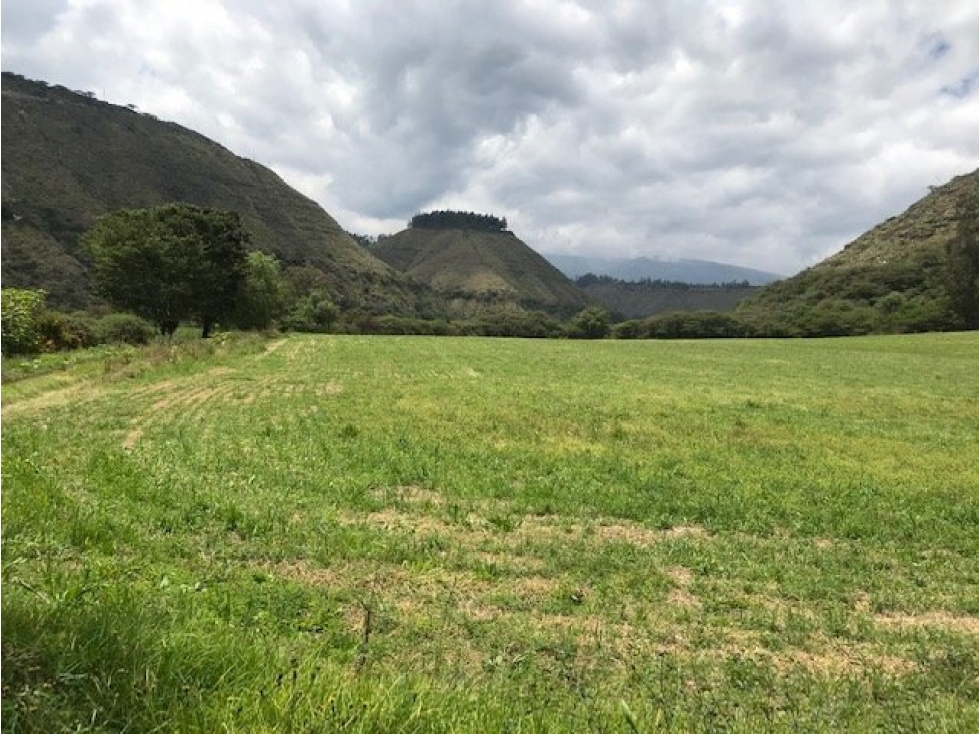 TERRENO DE VENTA EN YARUQUI DE 50 HECTAREAS UTILES — foto 5