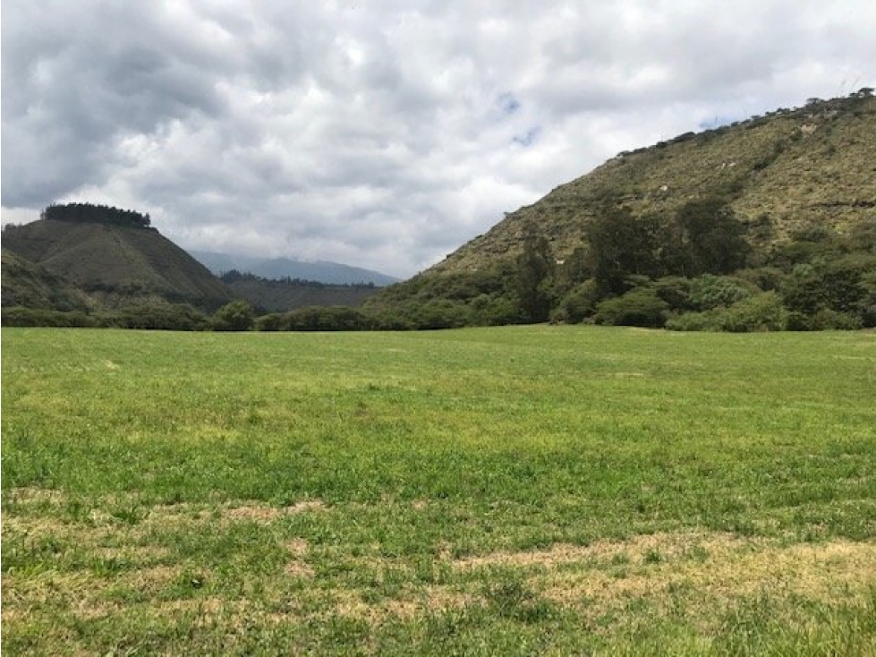 TERRENO DE VENTA EN YARUQUI DE 50 HECTAREAS UTILES — foto 6