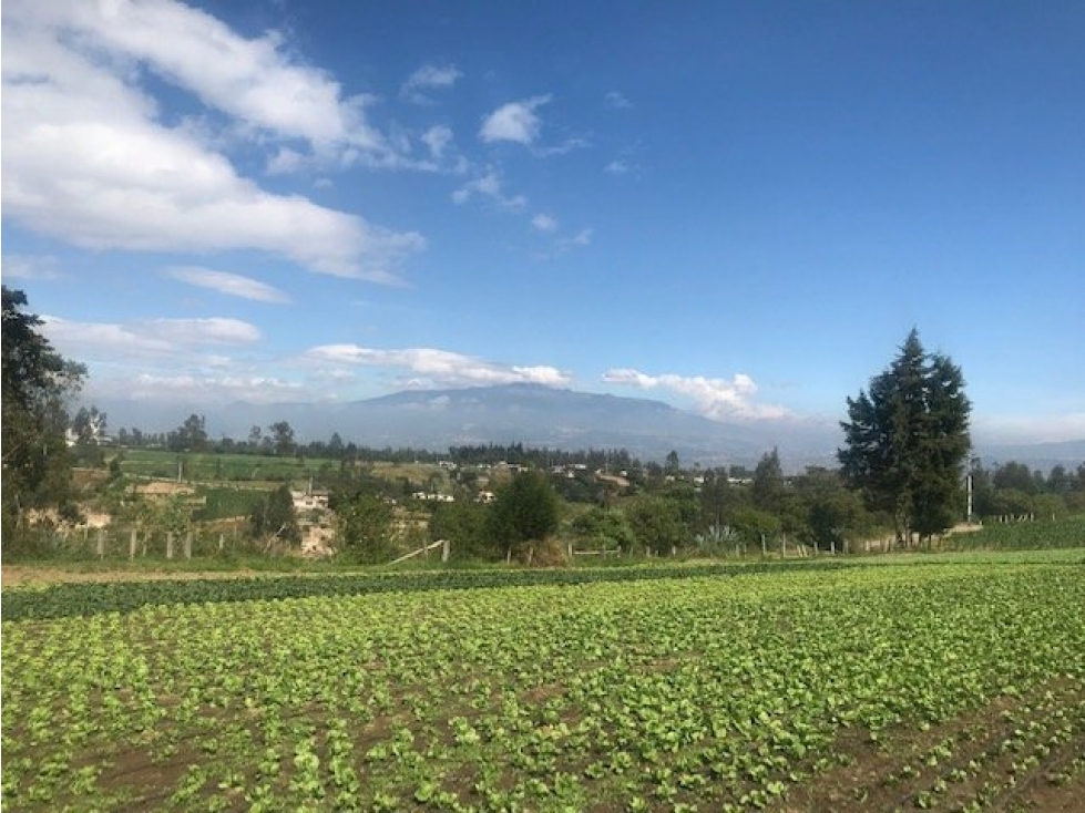 TERRENO EN CHECA SECTOR LA TOLA 5 MINUTOS DE LA PANAMERICANA - 4