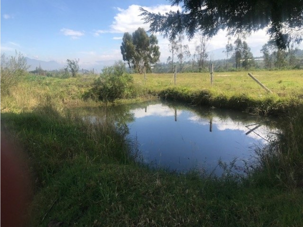 TERRENO EN CHECA SECTOR LA TOLA 5 MINUTOS DE LA PANAMERICANA - 5