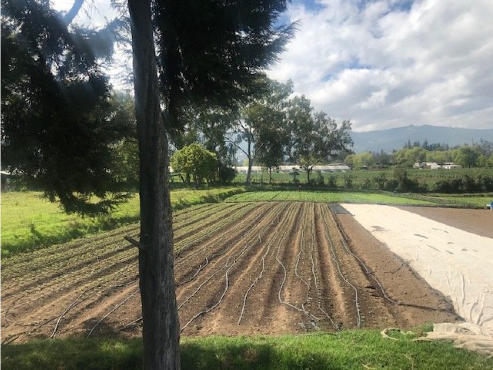 TERRENO EN CHECA SECTOR LA TOLA 5 MINUTOS DE LA PANAMERICANA - 6