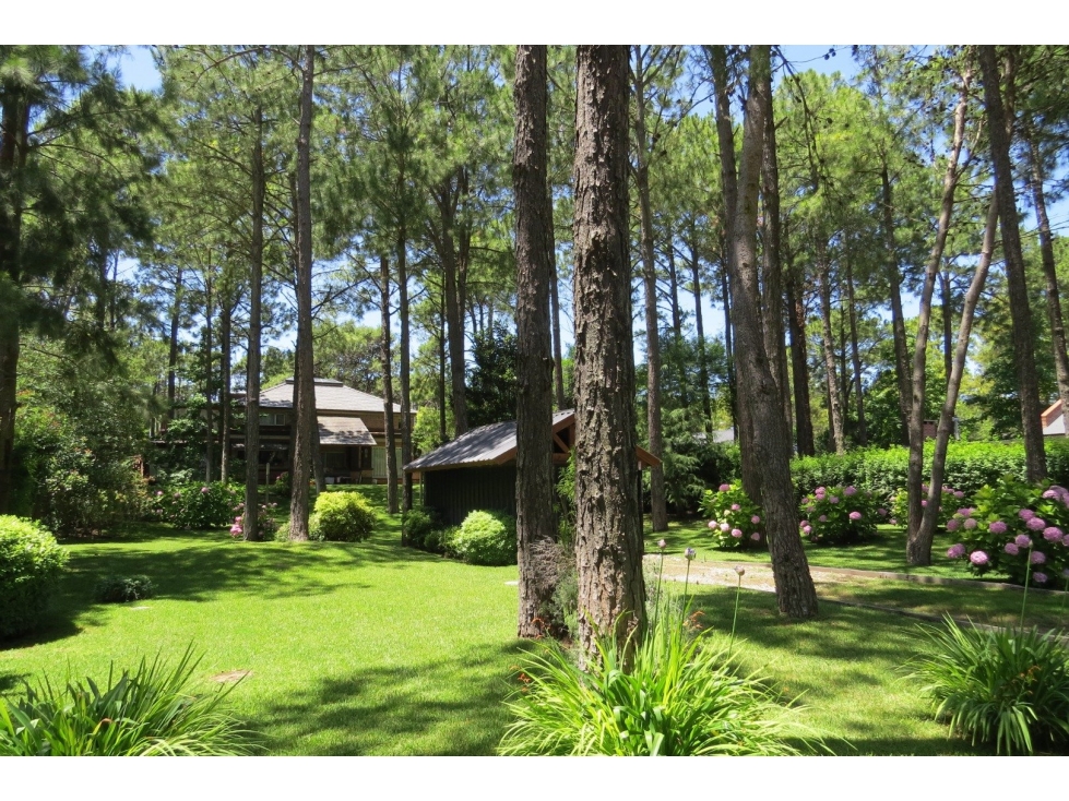 Hermoso Lote - Zona Tridente - De Las Musas - Parquizado - 712 m² — foto 3
