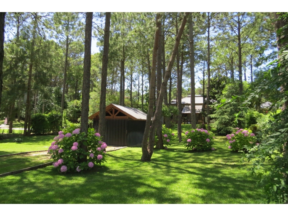 Hermoso Lote - Zona Tridente - De Las Musas - Parquizado - 712 m² — foto 4