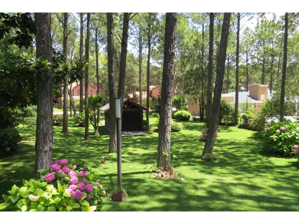 Hermoso Lote - Zona Tridente - De Las Musas - Parquizado - 712 m² — foto 5