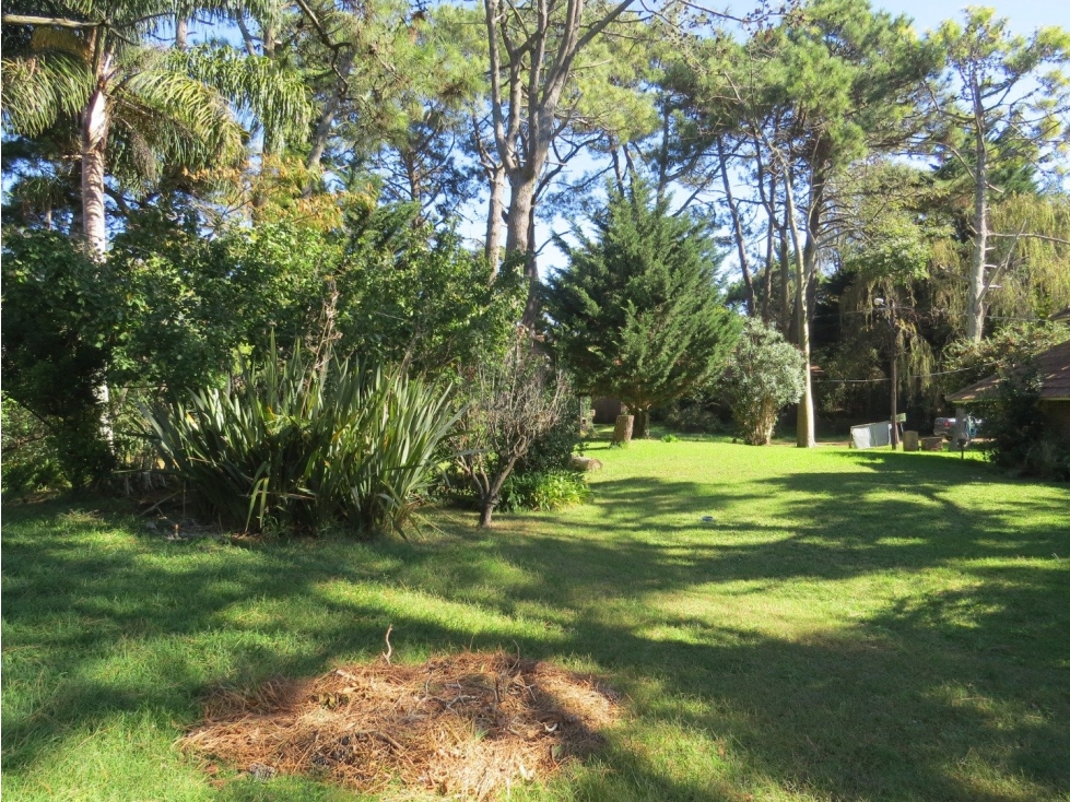 Terreno en Venta - Zona Iglesia - Parquizado - Inmejorable ubicación — foto 2