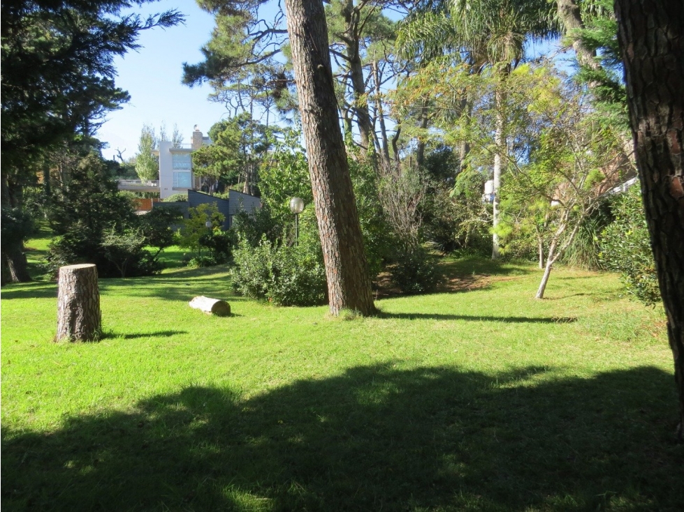 Terreno en Venta - Zona Iglesia - Parquizado - Inmejorable ubicación — foto 3