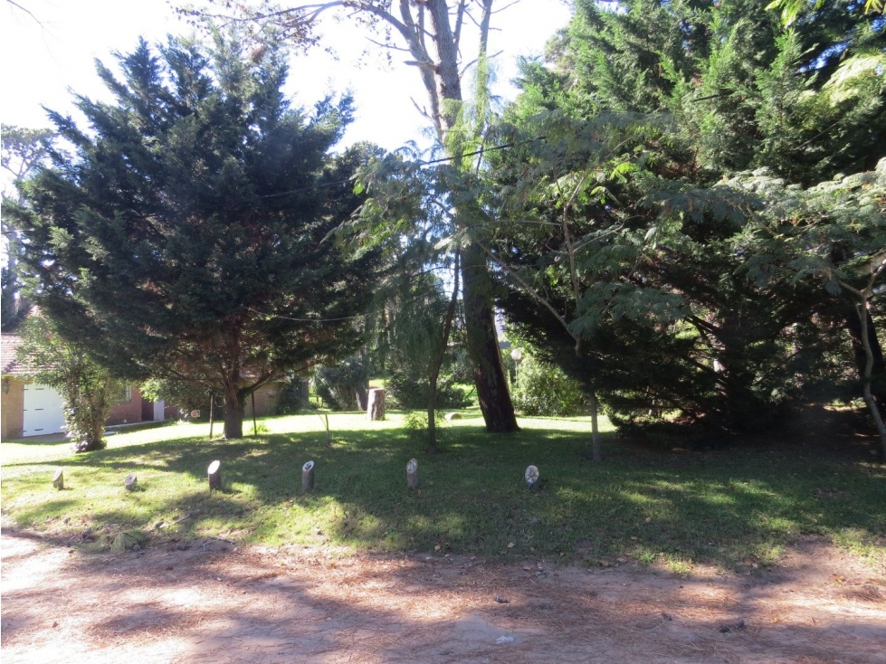 Terreno en Venta - Zona Iglesia - Parquizado - Inmejorable ubicación — foto 5
