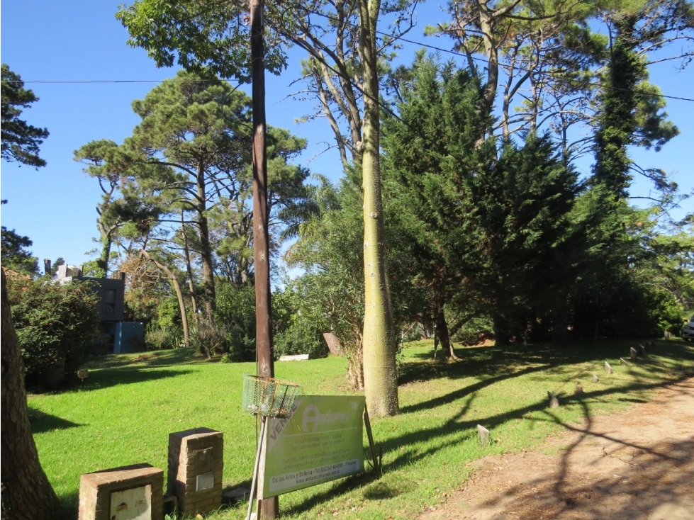 Terreno en Venta - Zona Iglesia - Parquizado - Inmejorable ubicación — foto 6
