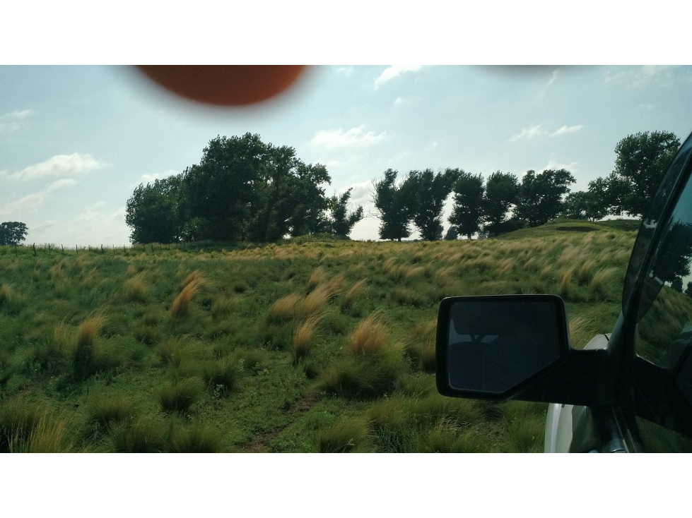 VENDO EXCELENTE CAMPO DE 84 HECTÁREAS EN ROLÓN - PROVINCIA DE LA PAMPA - 2