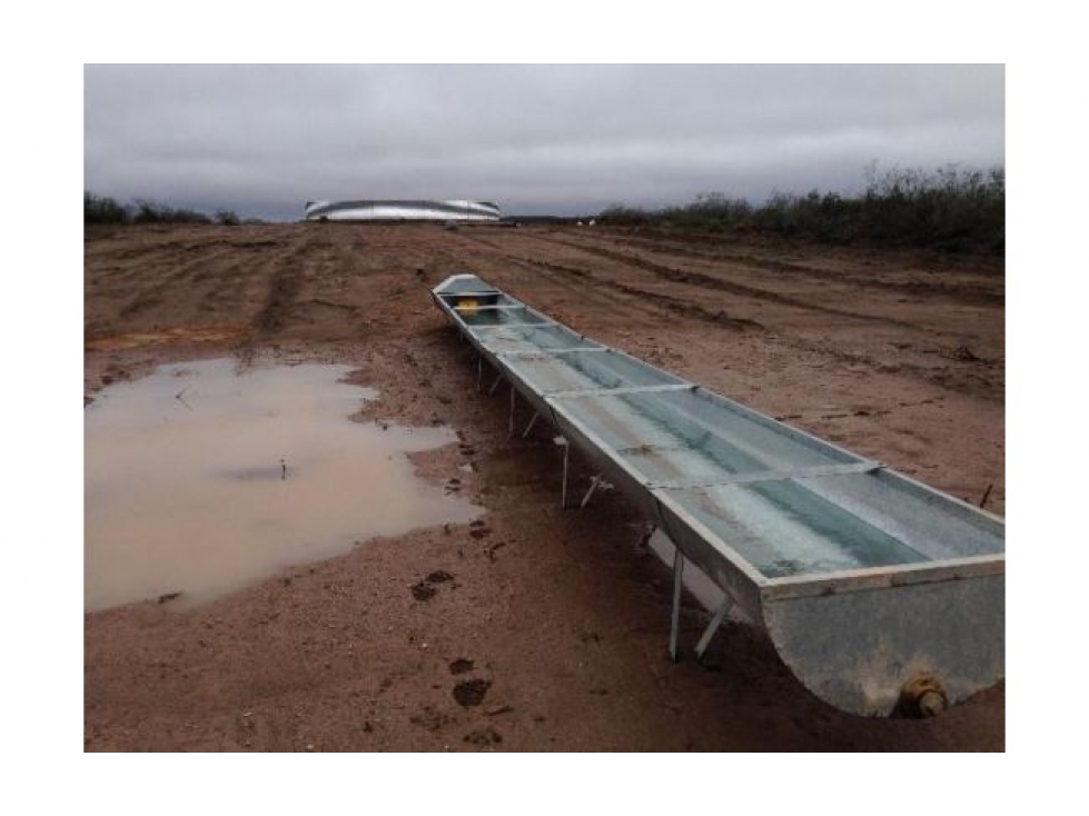 VENTA CAMPO DE CRIA DE 2677 HECTAREAS EN PUELCHES LA PAMPA - 5