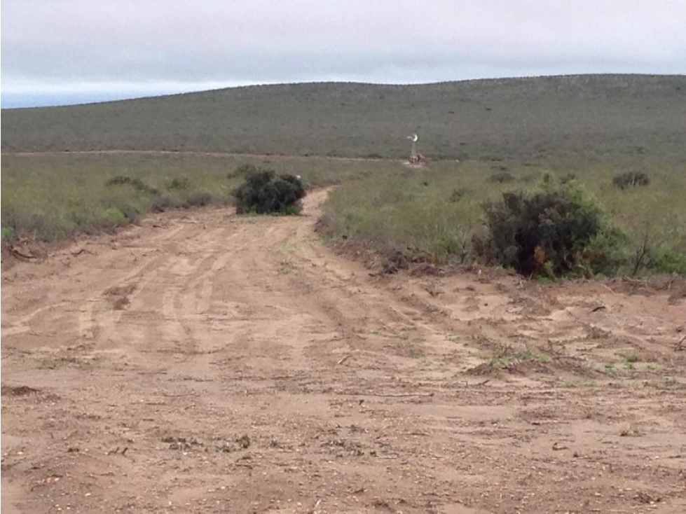 VENTA CAMPO DE CRIA DE 2677 HECTAREAS EN PUELCHES LA PAMPA - 4