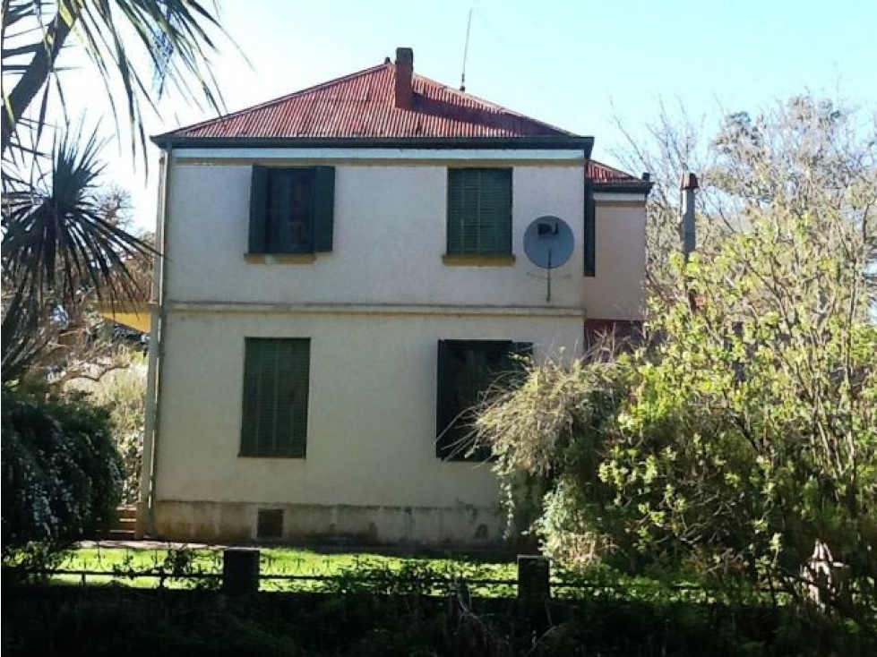 VENTA DE 340 HECTAREAS DE CAMPO MIXTO EN CORONEL VIDAL - 2