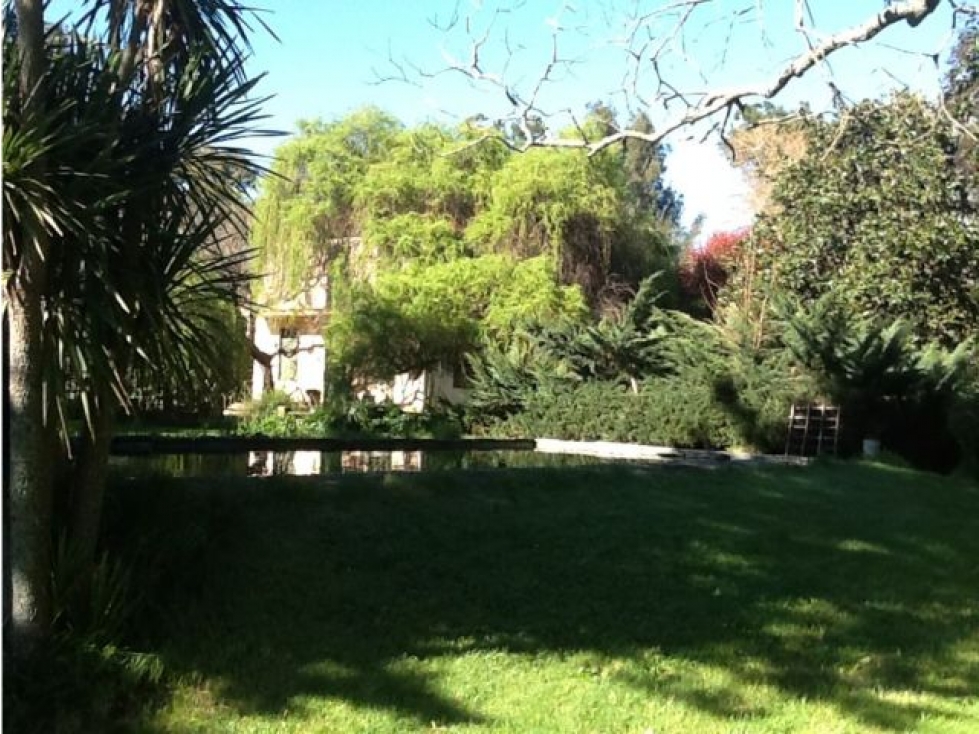 VENTA DE 340 HECTAREAS DE CAMPO MIXTO EN CORONEL VIDAL - 4