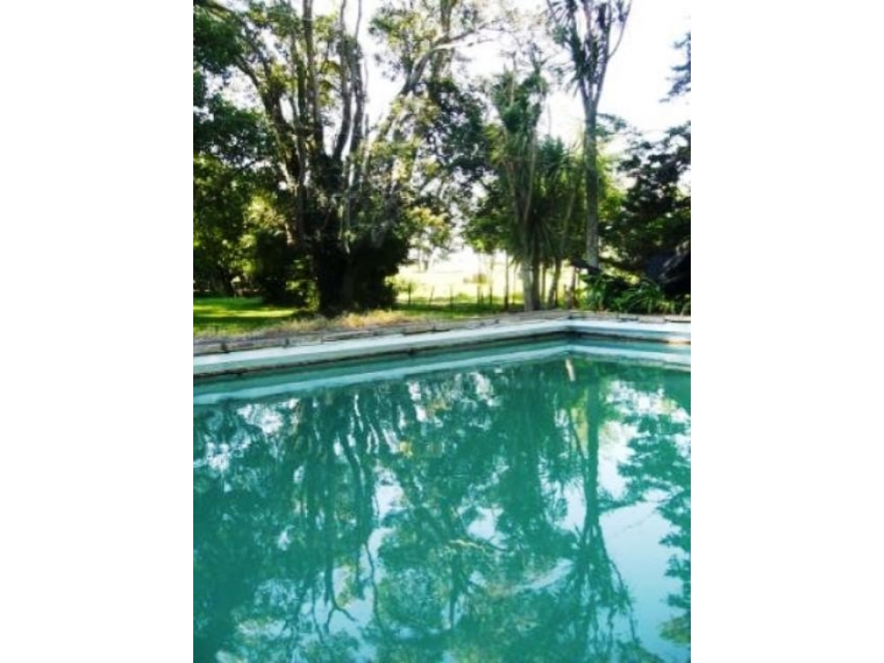 VENTA DE 340 HECTAREAS DE CAMPO MIXTO EN CORONEL VIDAL - 5