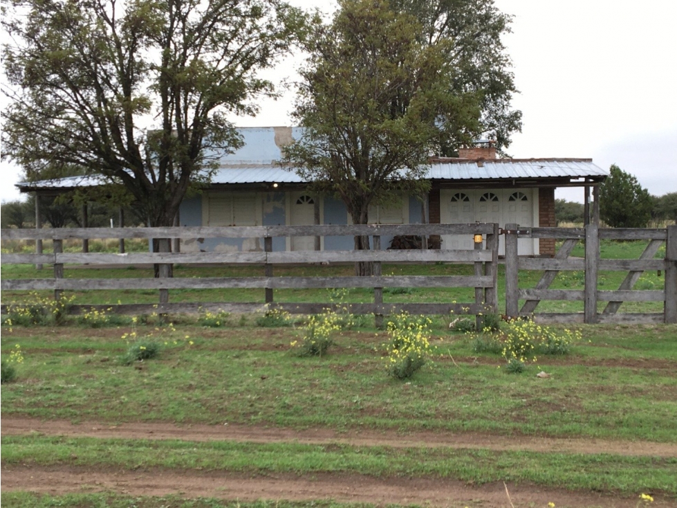 VENDO CAMPO DE 2010 HECTAREAS SOBRE RUTA 152 PROXIMO A GENERAL ACHA - 5