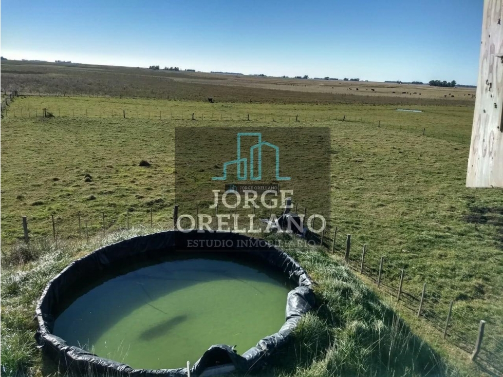 VENTA DE CAMPO EN CORONEL VIDAL 176 HAS PRODUCCION AGRICOLA Y GANADERA - 5