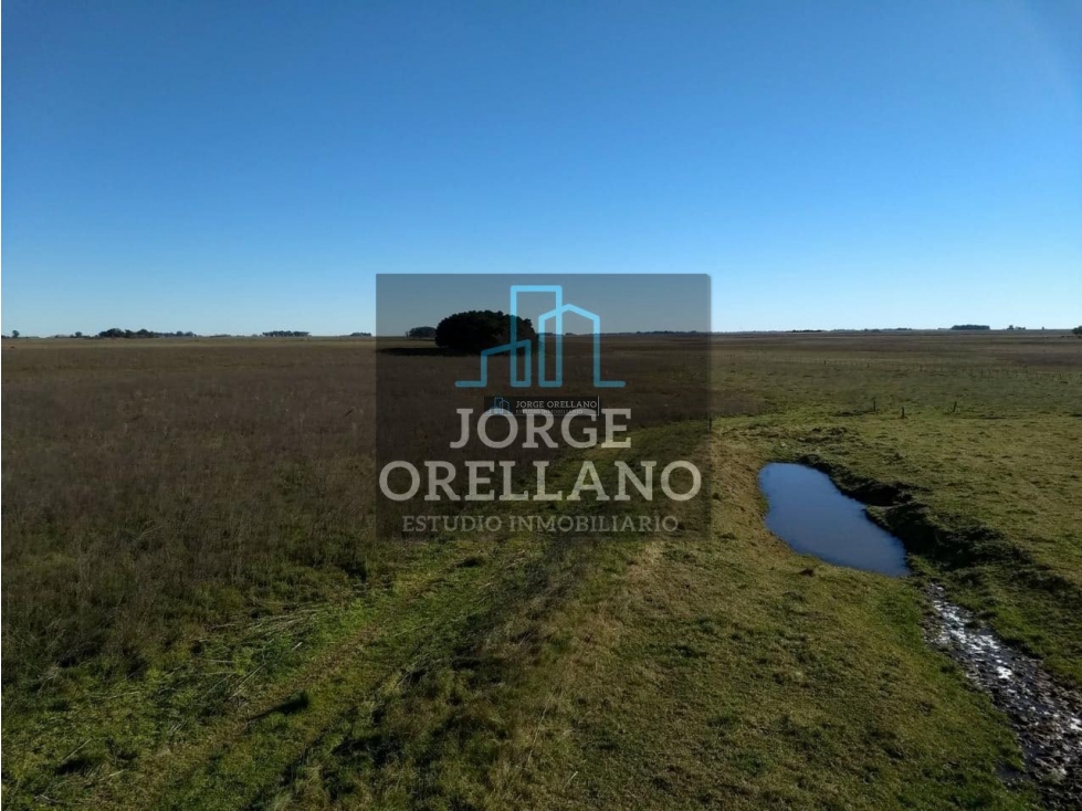 VENTA DE CAMPO EN CORONEL VIDAL 176 HAS PRODUCCION AGRICOLA Y GANADERA - 6
