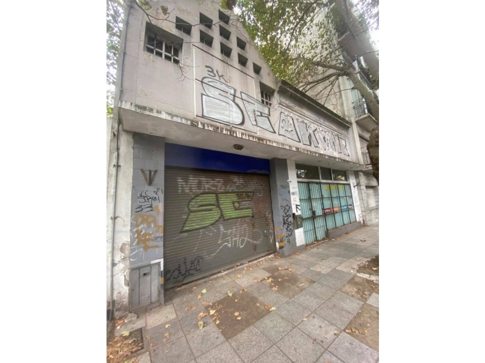 VENTA DE LOCAL COMERCIAL Y GALPON SOBRE LOTE DE 368m2 EN ZONA CENTRO - 2
