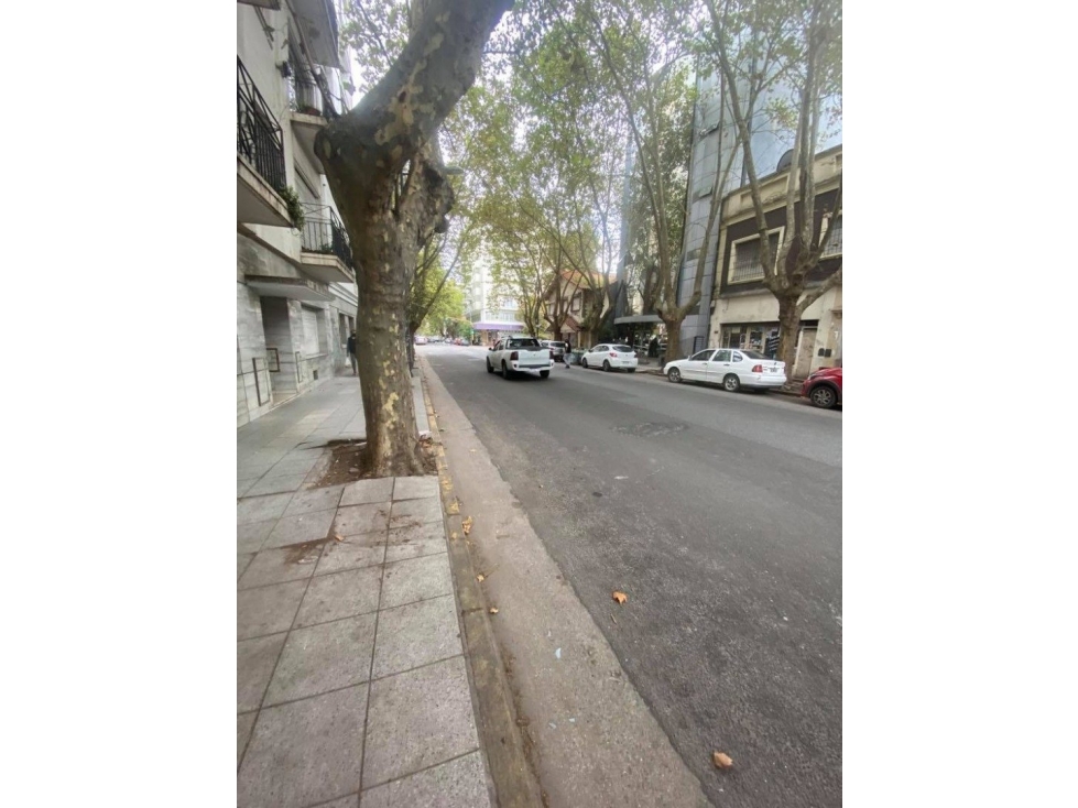 VENTA DE LOCAL COMERCIAL Y GALPON SOBRE LOTE DE 368m2 EN ZONA CENTRO - 3