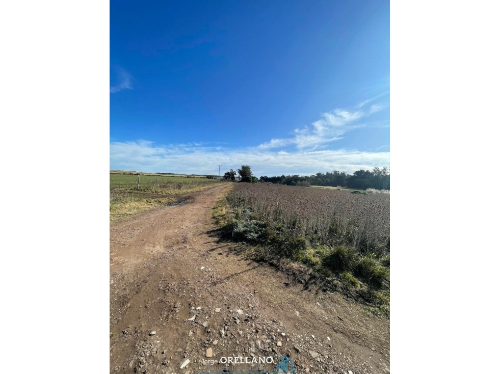 VENTA TERRENO DE 11.576m2 CAMINO VIEJO A MIRAMAR ZONA MONTE TERRABUSI — foto 5