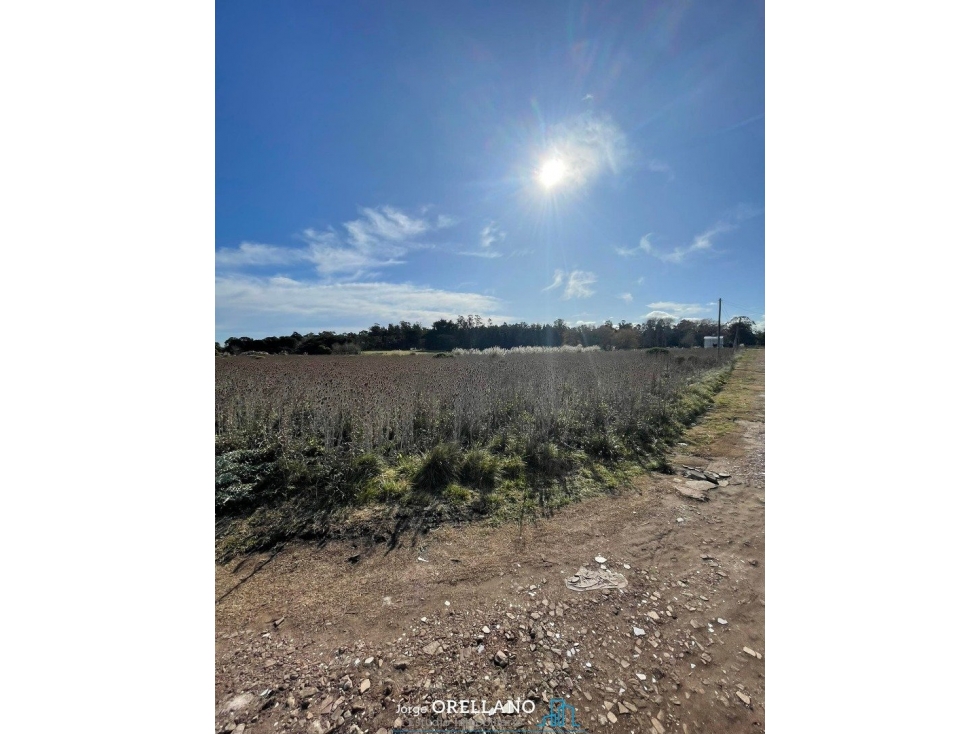 VENTA TERRENO DE 11.576m2 CAMINO VIEJO A MIRAMAR ZONA MONTE TERRABUSI — foto 6