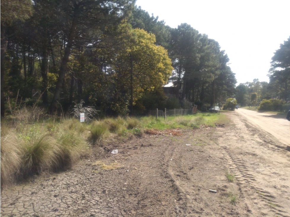hermoso lote en lomas de valeria - 2