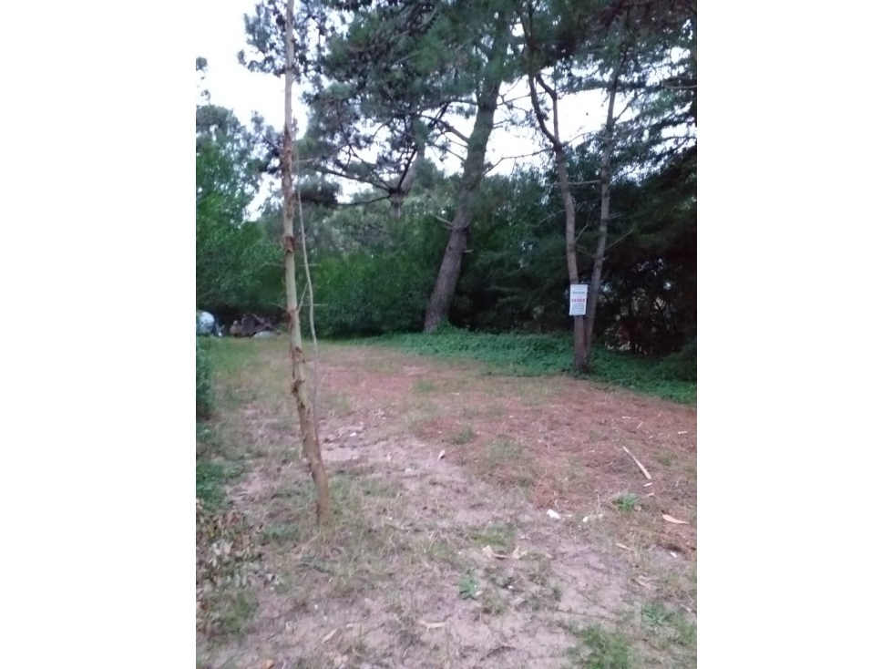 HERMOSO LOTE EN VALERIA DE MAR - 2