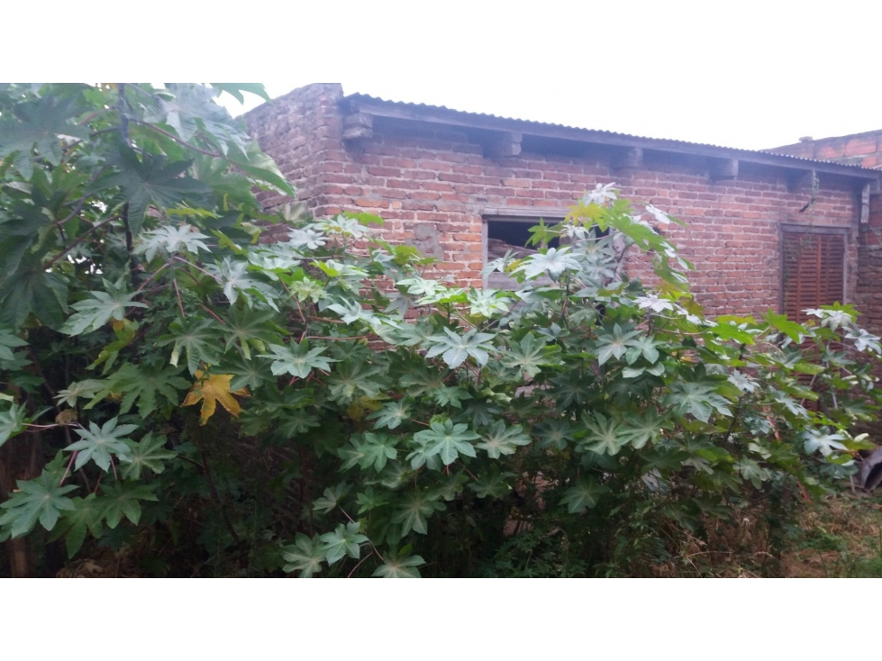 MÁRMOL, entre Sarratea y Pampa. Vivienda en construcción - 6