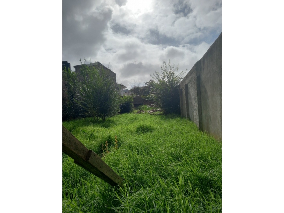 VENTA LOTE 10 X 30 U$S 75.000 MAR DEL PLATA — foto 4
