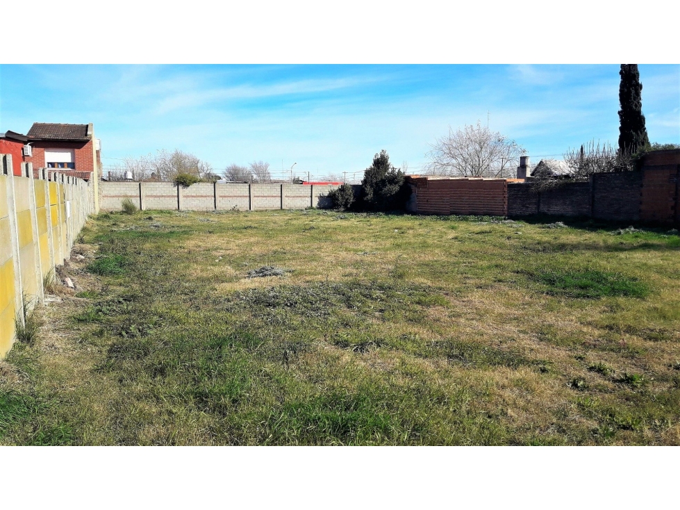 SUPER TERRENO - 25 X 50 - BALCARCE 960 - 5