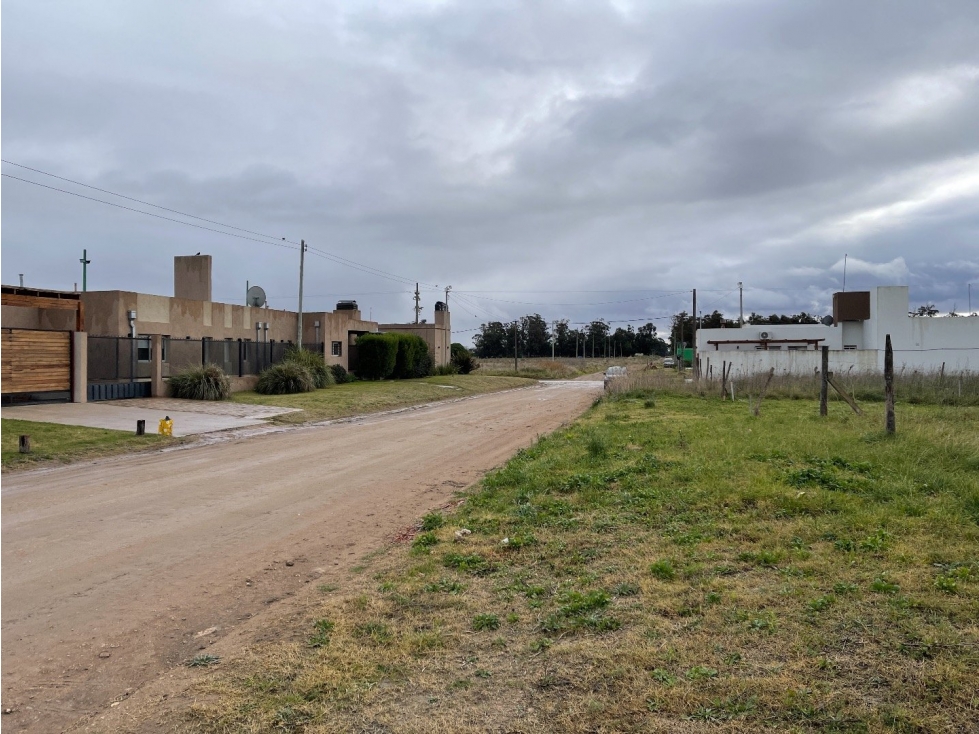 terreno sobre calle 99 entre 42 y 40 de 400M2 - 6