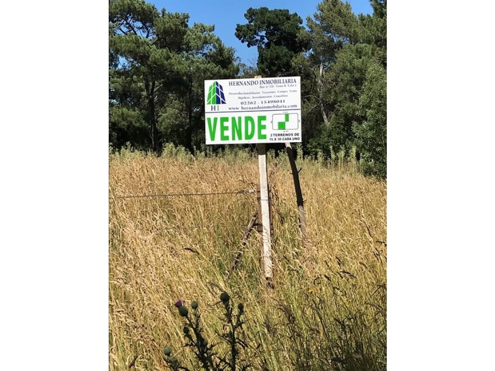 Dos lotes de 15mt de frente por 30 de fondo 159 bis 54 y 52 - 2