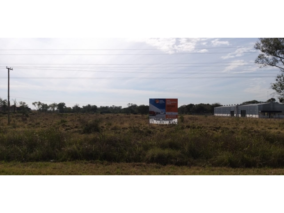 Gran predio en zona Industrial (para utilizar en bloque o subdividir) - 2