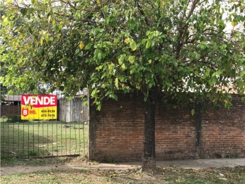 Hermoso Terreno de 10x50 - 1