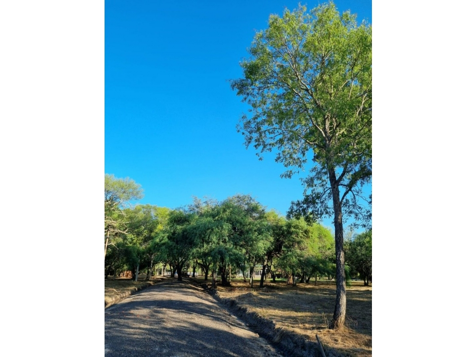 Terreno de 3962 m2 en bosque encantado - 1