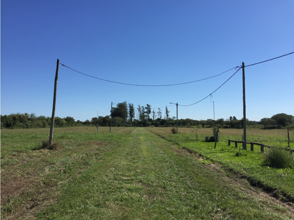 Las Moras, Colonia Benitez, 1000 m2! A pocas cuadras acceso principal! - 6