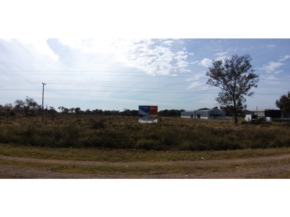 Gran predio en zona Industrial (para utilizar en bloque o subdividir) - 4