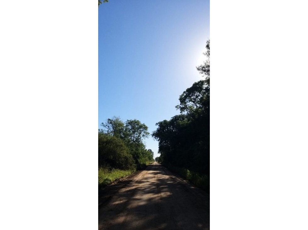 Santa Bárbara, loteo íntimo, Colonia Benitez - 2