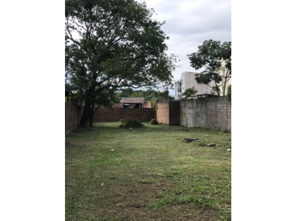 Hermoso Terreno de 10x50 - 3