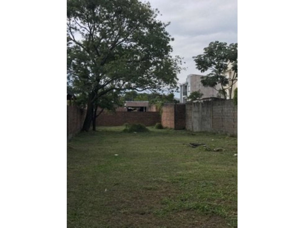Hermoso Terreno de 10x50 - 5