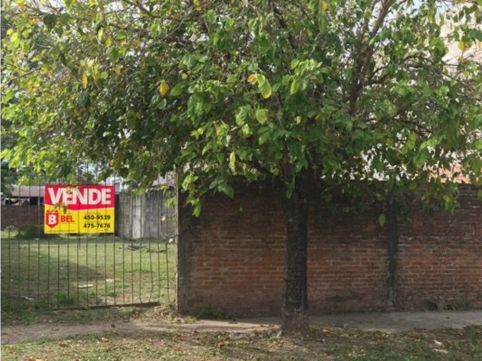 Hermoso Terreno de 10x50 - 6