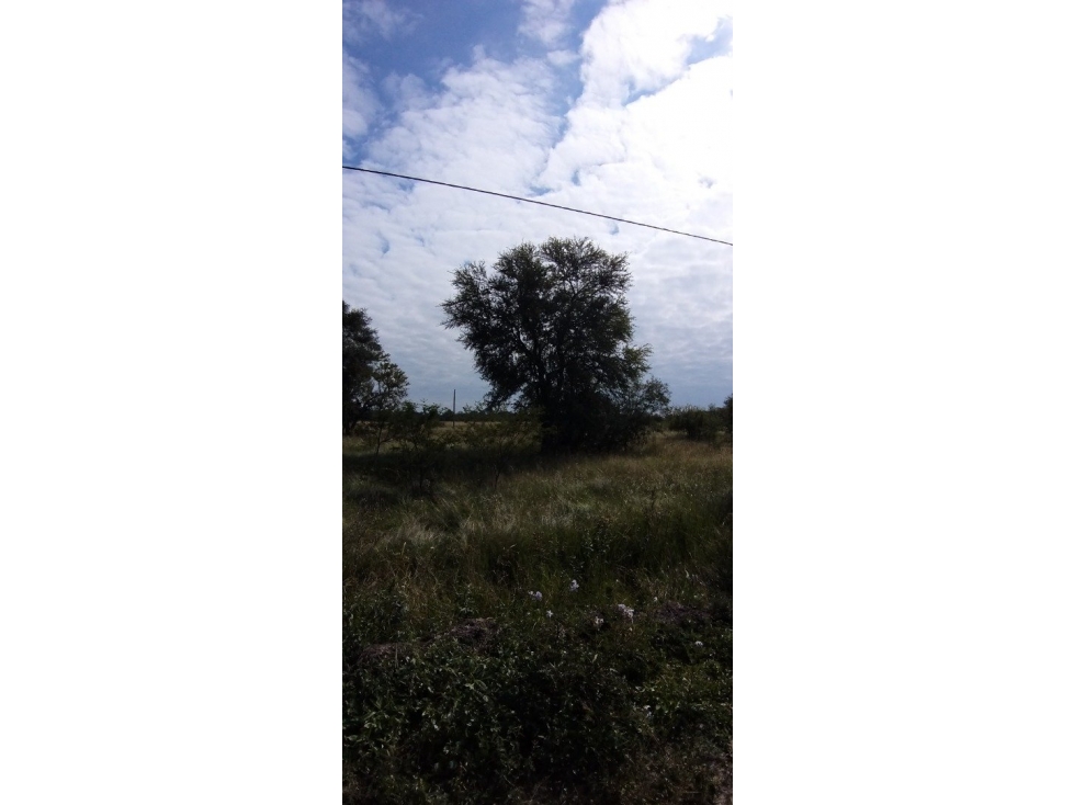 Últimos lotes al mejor precio en El Descanso, Puerto Tirol. - 3