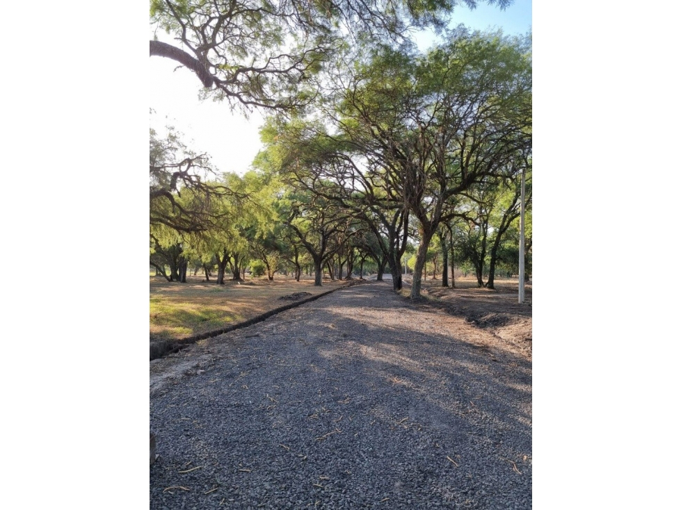 Terreno de 3962 m2 en bosque encantado - 2