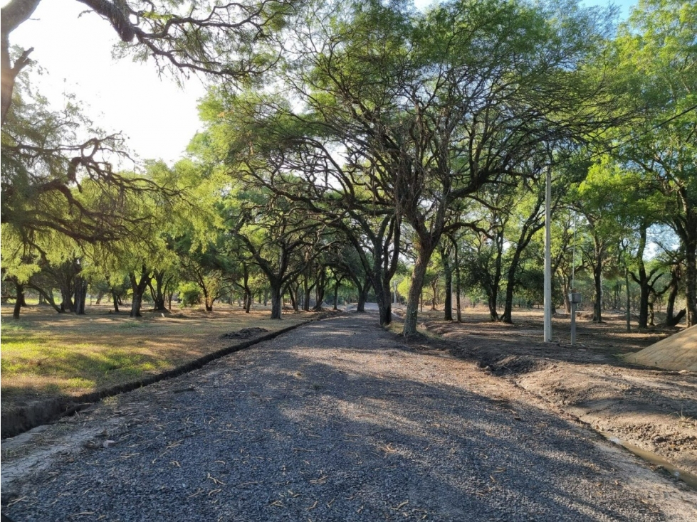 Terreno de 3962 m2 en bosque encantado - 3