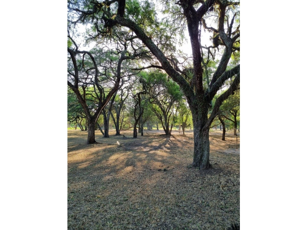 Terreno de 3962 m2 en bosque encantado - 4