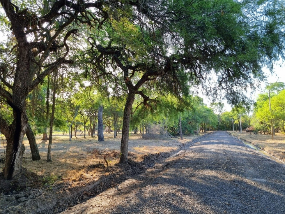 Terreno de 3962 m2 en bosque encantado - 5