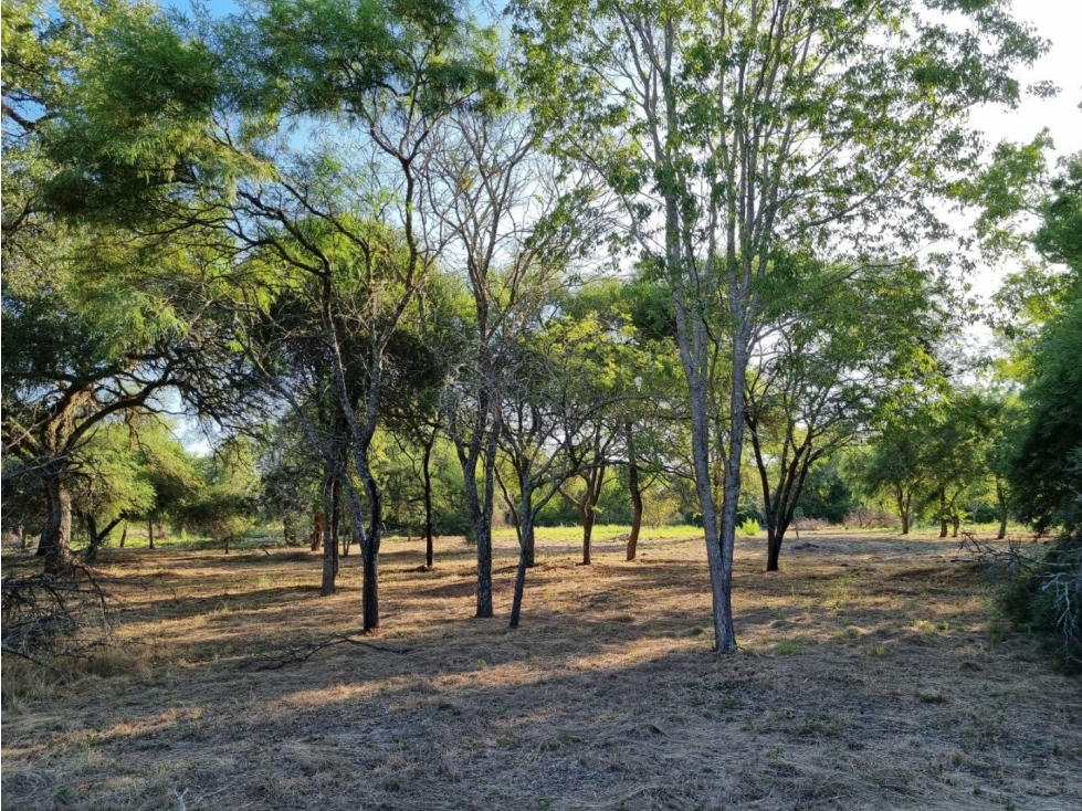 Terreno de 3962 m2 en bosque encantado - 6