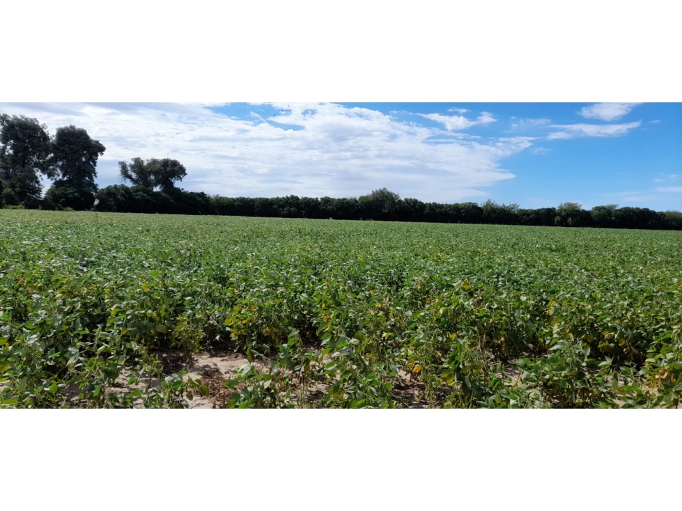 2 FRACCIONES DE: 3 Ha 305 m2 Y 8 Ha 7290 m2 EN VILLA RETIRO - 6